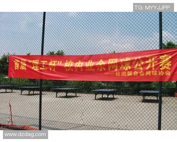 重庆网球队运营分析：成功经验与不足之处的全面探讨